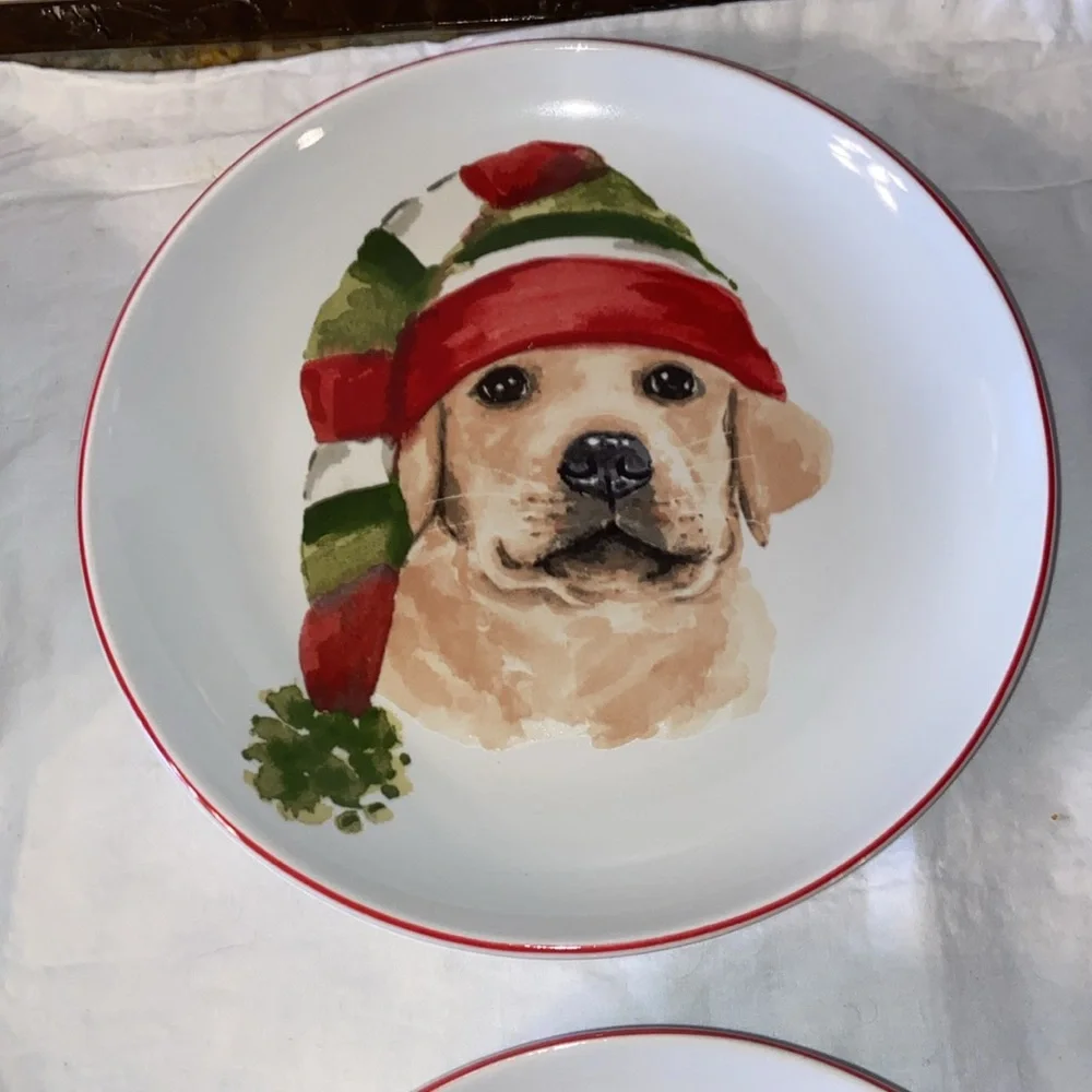 New in box Pier 1 Holiday Christmas dogs set of 4 salad plates.